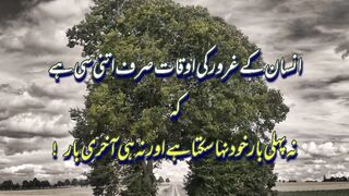 Best quotes in urdu//poetry in urdu