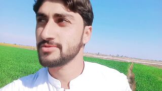 Sarsabz My Villeg Video ❤
