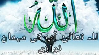 Islamic videos