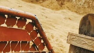 Trictor funny video