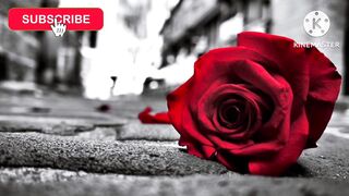 Best heart broken poetry line Urdu