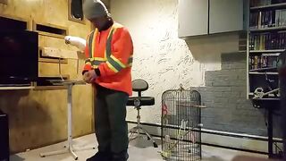 How to get a parrot mad and angry