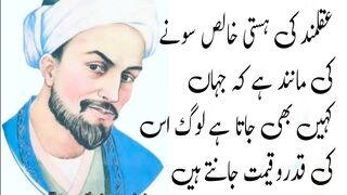 Sheikh saadi Urdu quotes . Amazing Urdu quotes . Best collection of Urdu quotes . Hind quotes