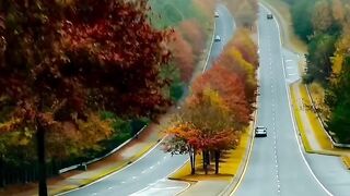 Nature is beautiful