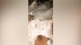 Funny Cats And Dogs Reaction - My Cat Sniffing Feet