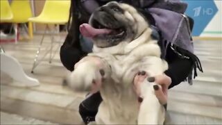 Видели видео. Часть 2.