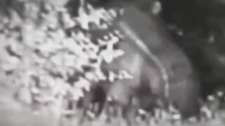 16 СТРАШНЫХ ВИДЕО НА КОТОРЫХ БЫЛИ СНЯТЫ НЕОБЪЯСНИМЫЕ МОНСТРЫ