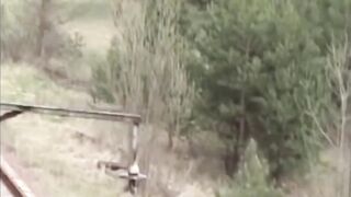 16 ЧЕРНОБЫЛЬСКИХ МУТАНТОВ КОТОРЫХ УДАЛОСЬ СНЯТЬ НА КАМЕРУ