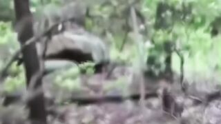 ВЫ НЕ ПОВЕРИТЕ СВОИМ ГЛАЗАМ  ЭТО ВИДЕО БЛОКИРУЮТ ВЕЗДЕ
