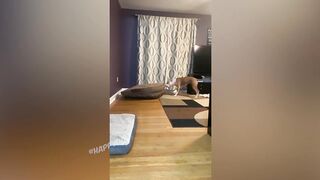 СМЕШНЫЕ ЖИВОТНЫЕ 2021/ЛУЧШИЕ ПРИКОЛЫ С КОТАМИ
