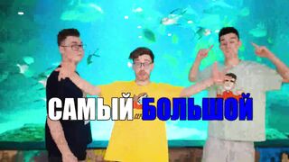 А4 24 часа в аквариуме