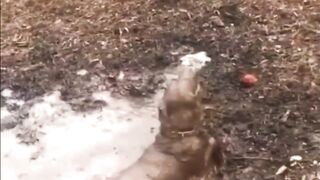 грязевые ванны