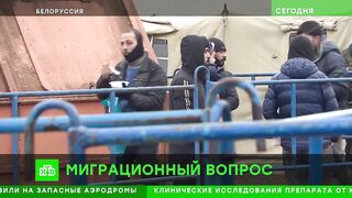 Милонова ужаснули запахи в лагере беженцев на границе с Польшей