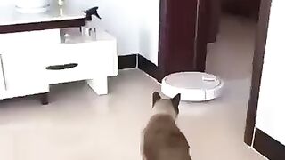 cool videos