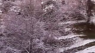 Snow velly