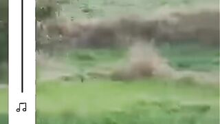 Live Murder Rawalpindi
