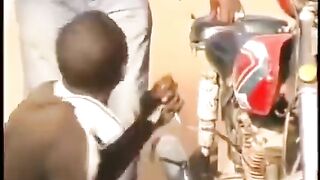 Top funny videos funny videos