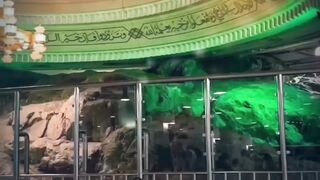 New bayan muolana peer ajmal qadri #islamicstatus #islamicvideo # jumastatus