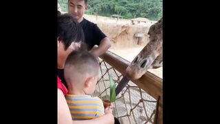 Funny moments ????????
