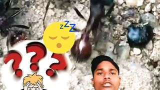 Unknown Interesting Facts | Facts Videos Shorts ????| #facts #shorts #trending #viral