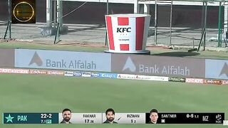 Pakistan vs newzeland match best partnership rizwan and fakhar zaman