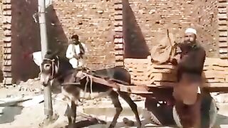 Funny clip