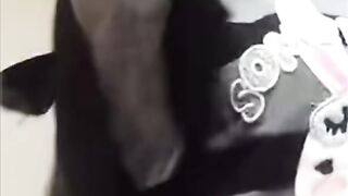 رقص خليجي ???? نار