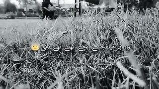 Statue video