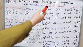 Number of chromosomes in animals