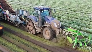 agriculture work