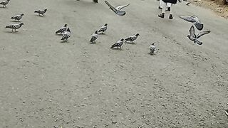 Live from Haram today live Makkah Al Mukaram today live