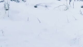 Ice video
