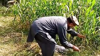 Funny video