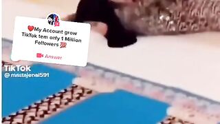 Tiktok video