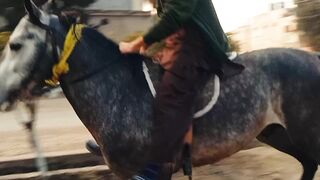 Horse Riding