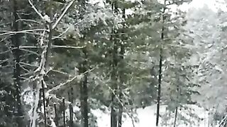 Snowfall