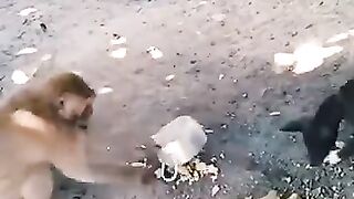 New funny latest video upooad 2023
