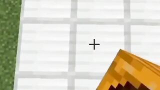 Warden of Darkness and Iron Golem Fight