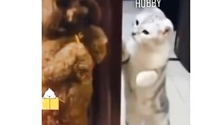 Fantestin funny video on fun 2023