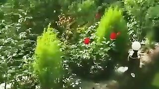 Green Hills Form House