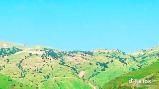 تھی شهرے ظالمین