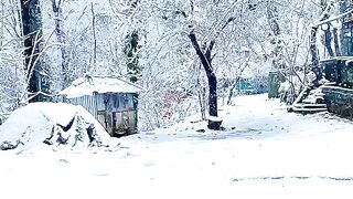 snow fall