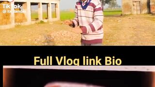 Vilog