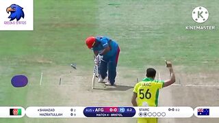 BEST YORKERS IN CWC19