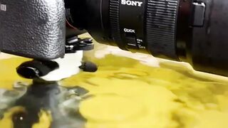#Manirelaxation #cameraman #nature #short #viral #febspot