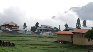 Beautiful view of nature 3