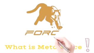 Metaforce online earning