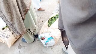 Tamatar ke Phil income