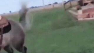 Funny Video