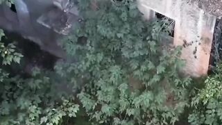 #shorts #viral #viralvideo #youtube #trending #trend #trendingreels #2023春婚 #reels #creepy